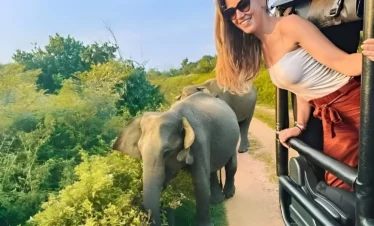 udawalawe-national-park-safari-img(03)