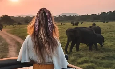 udawalawe-national-park-safari-img(05)