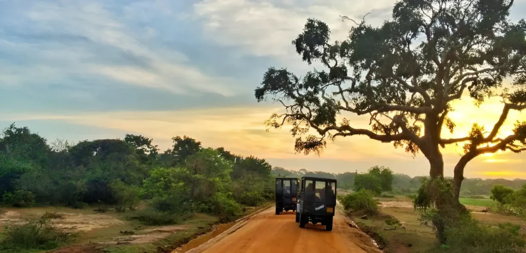yala-national-park-safari-img(01)