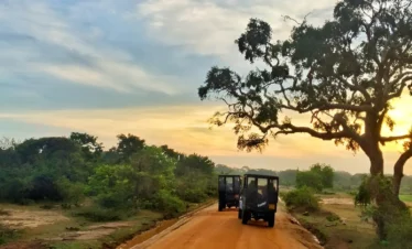 yala-national-park-safari-img(01)