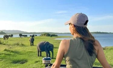 udawalawe-national-park-safari-img(01)