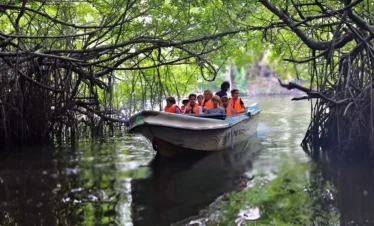 southern_day_tour_img(3)