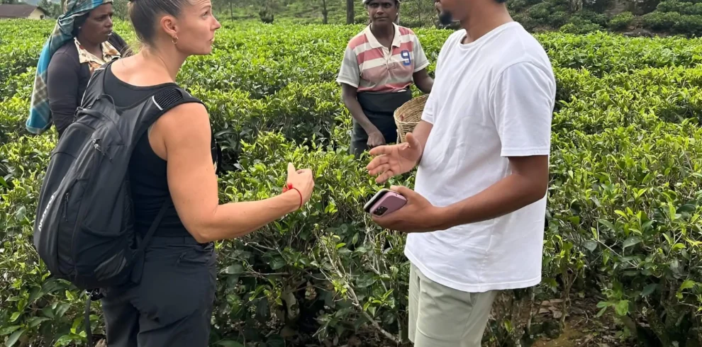 8-day-sri-lanka-culture-nature(Sri Lanka Tours)