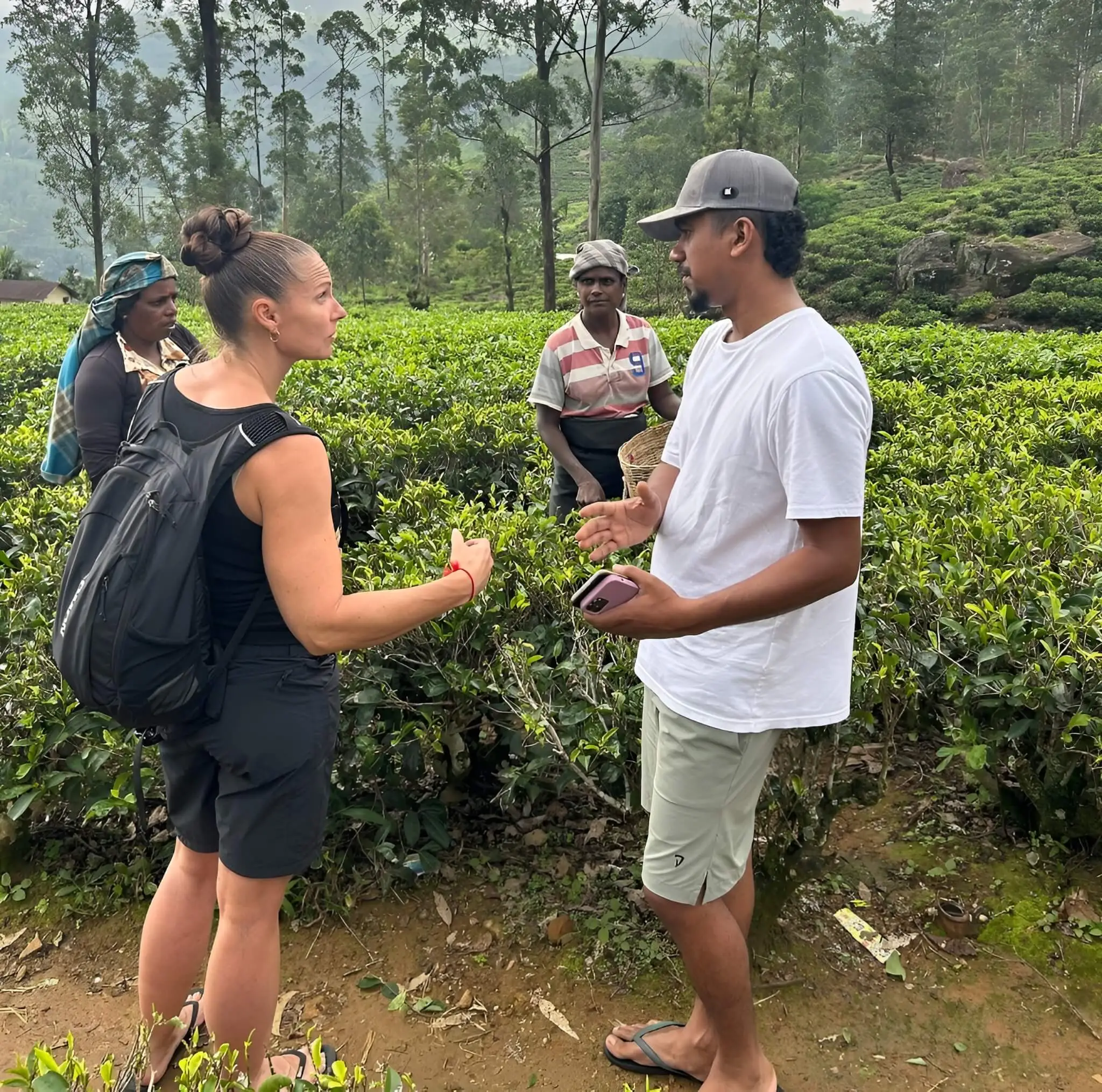 8-day-sri-lanka-culture-nature(Sri Lanka Tours)