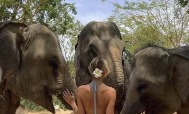 05-day_Srilanka_tour(4)