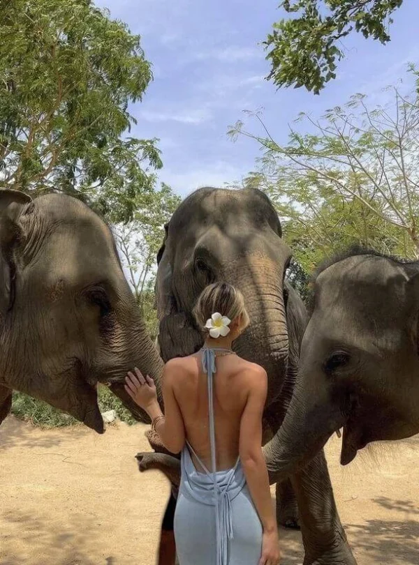 05-day_Srilanka_tour(4)