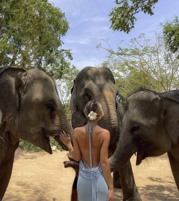 05-day_Srilanka_tour(4)